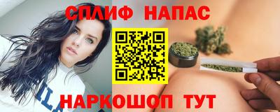 мдпв Гатчина
